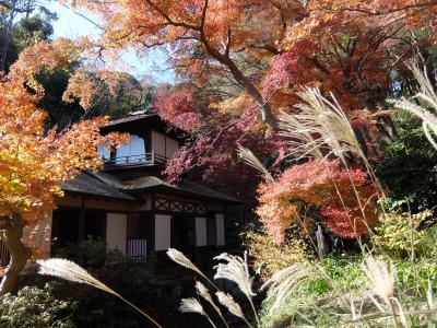 三渓園で紅葉狩り・臨春閣特別公開