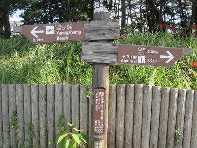 タライ岬遊歩道(弓ヶ浜~田牛)