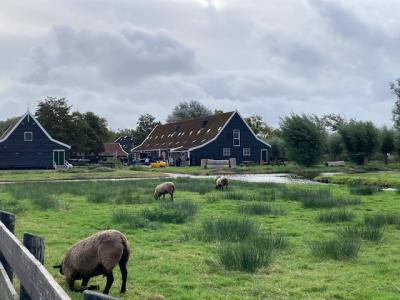 オランダ・ベルギー・ルクセンブルグ・ドイツ8日間 オランダ編