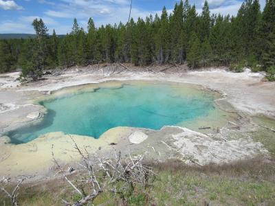 イエローストーン国立公園7日間④