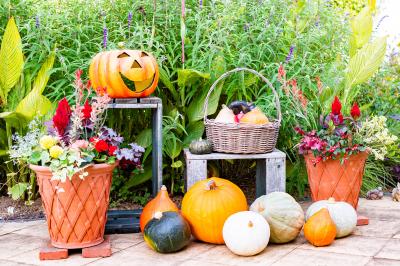 【新潟県】みつけイングリッシュガーデン　2025ハロウィンディスプレイ