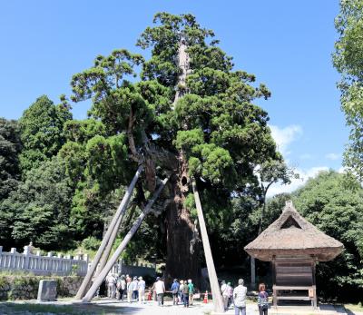 JAL直行便で隠岐の旅・・玉若酢命神社と隠岐国分寺・かぶら杉を訪ねます。