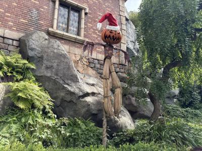 25年秋旅2！ディズニーランドに行ってきました！！1日目出発～2日目ディズニー前編