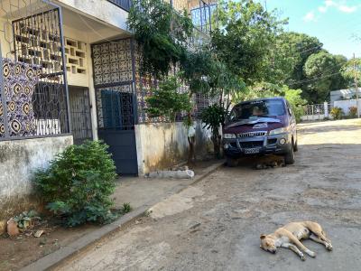 30日間の10日目 ② アンツイラナナ･ディアゴスレアス市内観光