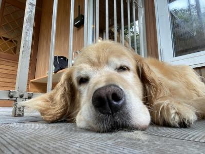 ペンション朝ねぼう②