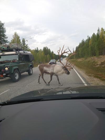 夫婦二人だけの北極圏突入 2