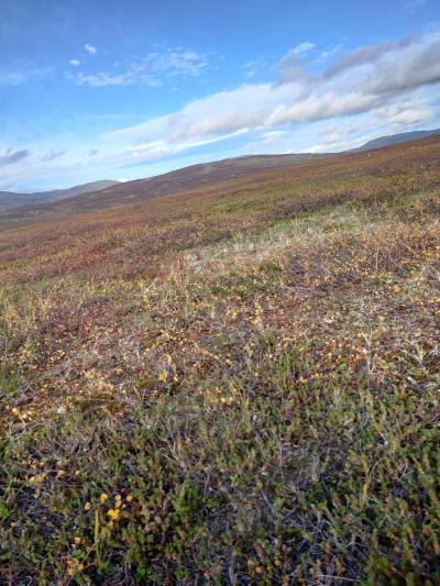 夫婦二人だけの北極圏突入 4