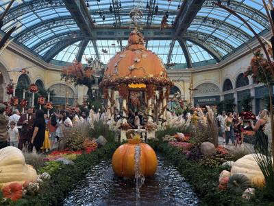 【スピンオフ】ひとり娘ラスベガス珍道中リターンズ・②