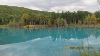 道南ゴールデンルートを旅行しました⑥富良野~美瑛・青い池~千望峠~ファーム富田