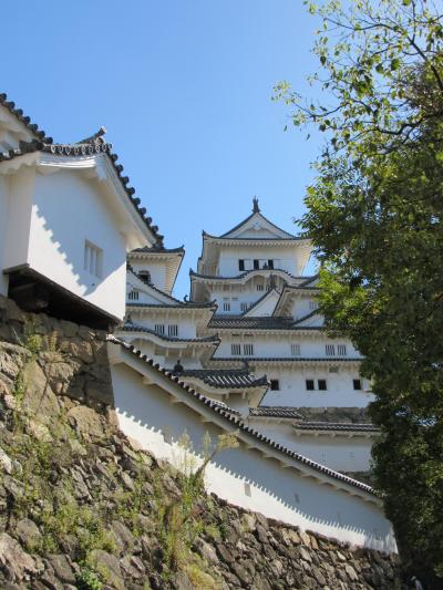 近場日帰り旅ー秋の遠足・姫路城全小天守特別公開