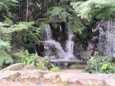 【曼珠沙華まつり】府中郷土の森で臨時同窓会。恐竜を見たよ。