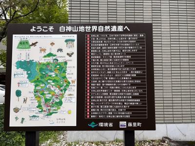 世界遺産白神山地、五能線、リゾート白神で行く十二湖、青池、黄金埼不老不死の湯、奥入瀬の旅①