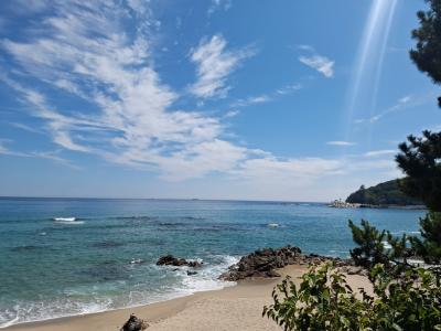 ネイティブと行く!恒例の韓国旅行今年はカンヌン♪2日目