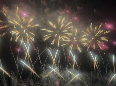 間近で迫力ある花火が見られました