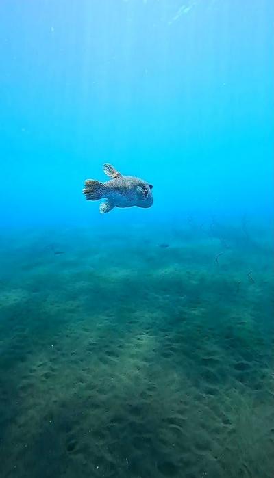 バリ旅行記　day5