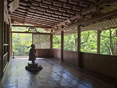 秋 高雄三尾めぐり 高山寺 西明寺 神護寺