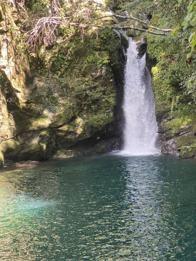 電気自動車の旅　№９　高知県　旅行№１２　４日目最終日