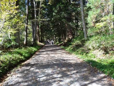 朝ごはんで免疫力アップ!と、なかなかハードな戸隠神社奥社