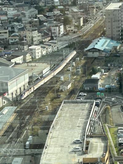 3度目の山形国際ドキュメンタリー映画祭・・今回は日帰りで！