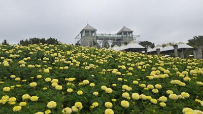 ぐんまフラワーパーク