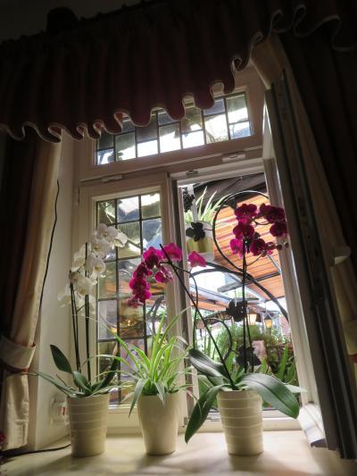 心の安らぎ旅行（2025年もドイツへ！13日目♪Rudesheim am Rhein 大好きなレストラン♪ Part116)