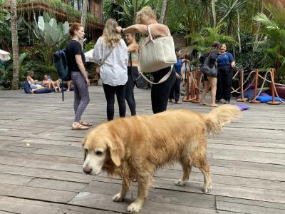 バリ島ウブド旅行 前編