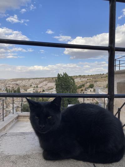 悠久のエジプト・神秘のトルコ10日間①1日目~3日目は口内炎と共に