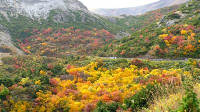 【下書き公開中】紅葉に高揚！（爆）吾妻スカイライン