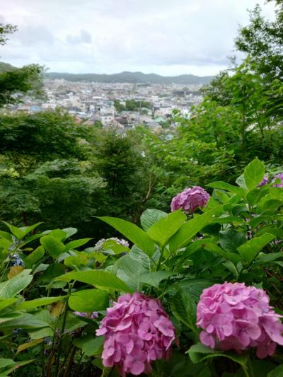 紫陽花と十一面観音と冷やし担々麺