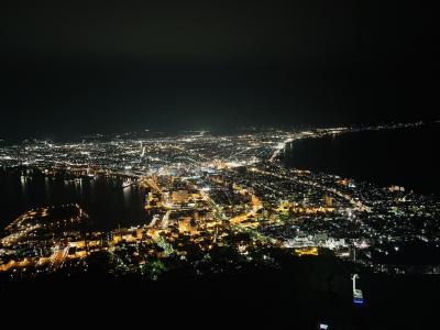 傷心旅行的な旅！函館