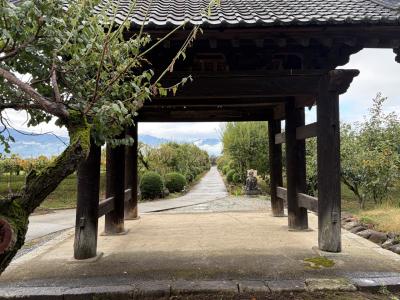 甲府から富士吉田を経て小田原へ