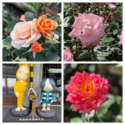 2025/10神代植物公園「秋のバラフェスタ」から深大寺へ