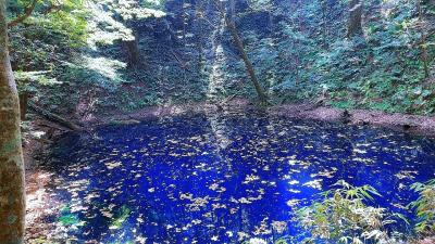 父との最後の旅行!家族で青森!