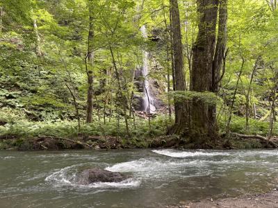 世界遺産白神山地、五能線、リゾート白神で行く十二湖、青池、黄金埼不老不死の湯、奥入瀬の旅④