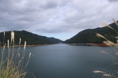 清川村&#127794;神奈川県唯一の村&#127794; 道の駅で&#128055;恵水ポーク＆宮ケ瀬湖ぶらり&#128095;
