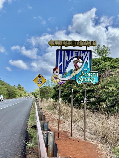 孫たちとのハワイ旅行7泊9日 後半編 ~ドールからのハレイワ~