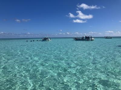 今回は大当たり　青空　青い海　ベストコンディションの海　宮古島