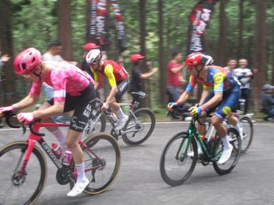 2025年10月　宇都宮ジャパンカップ　ロードレース