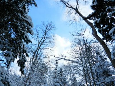真冬の北海道を味わい尽くす旅②久しぶりのスキーに挑戦