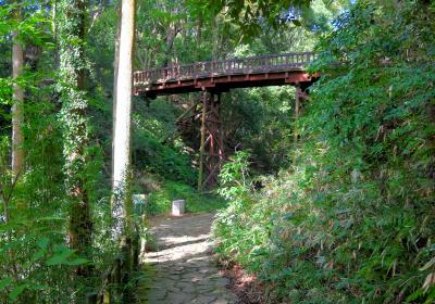 滝山城と足柄城
