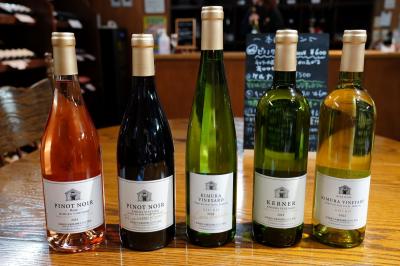 秋色と冬色の道東へ【1】~出鼻を挫かれ千歳から釧路へ~