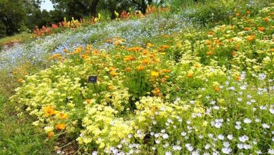 高知(桂浜・牧野植物園・高知城・四万十川・龍河洞・室戸岬)①