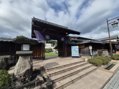  久能山方面にドライブ旅行