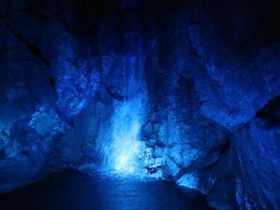 高知(桂浜・牧野植物園・高知城・四万十川・龍河洞・室戸岬)⑤