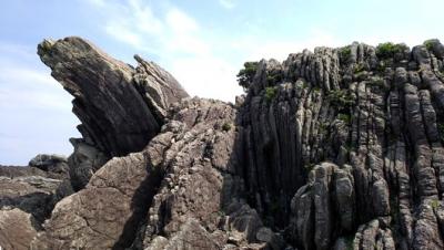高知(桂浜・牧野植物園・高知城・四万十川・龍河洞・室戸岬)⑥