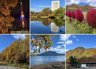 平地も紅葉色づく北海道へ１札幌近郊は今が見頃で超キレイ