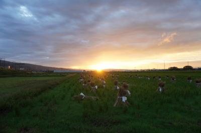 自転車でGO! 夜明けの頃 ~静岡県富士市富士岡付近~ 2025.10.19