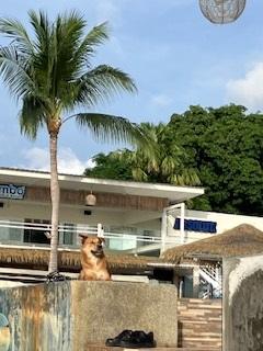 2025年夏サムイ旅行4日目