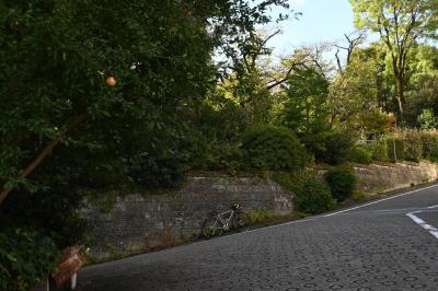 2025年10月19日 早朝ソロサイクリング 文京区・荒川区