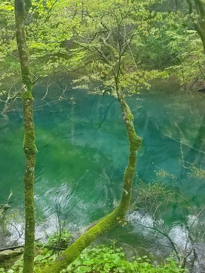 秋田~青森GW　弘前-しゃこちゃん-十二湖3/3